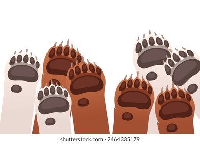 Animal paws in a row brown bear and white bear vector illustration isolated on white background