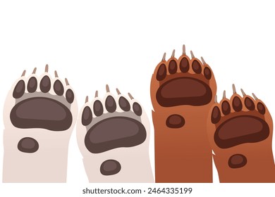 Animal paws in a row brown bear and white bear vector illustration isolated on white background
