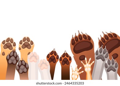 Animal paws in a row brown bear fox wolf and dog vector illustration isolated on white background