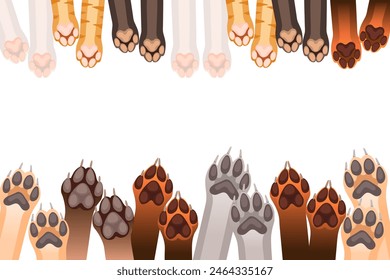 Animal paws in a row fox wolf and dog vector illustration isolated on white background