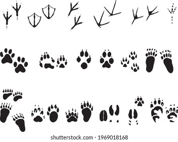 animal paws silhouette illustration eps 10