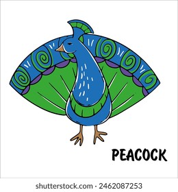 animal peacock vector bird bright beautiful tail feathered