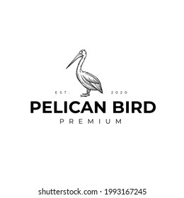 Animal Pelican Gulf Bird Coast Beach Logo Vector Illustration Template Icon 