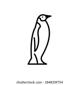 Animal Penguin icon outline style vector