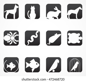 animal pet icon set / negative pictogram