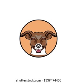 animal pet vector template