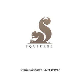 animal pictogram Squirrel logo design vector illustration