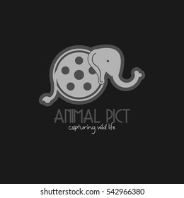 Animal Picture Logo Design Template. Creative logo design for movie and television industry