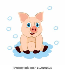 animal pig baby sitting in a puddle and rejoicing vector