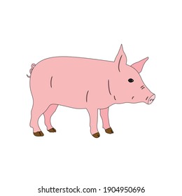 animal pig fill line icon vector illustration