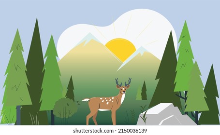 animal in pine wood near Hills at morning