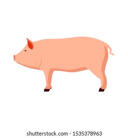 Animal pink pig vector illustration side view cartoon design. Cute art farm piglet graphic sign. Piggy hog domestic mammal element. Mascot silhouette swine drawing pet meat bacon. Livestock concept