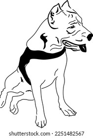 animal pitbull dog detailed vector