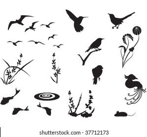 Animal, plant, and floral silhouettes.