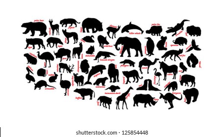 animal polar bear jaguar hippo chamois tiger tapir dingo swan pelican emu reindeer kiwi yak rabbit ostrich buffalo wolf rhino camel lion seal zebra owl koala gorilla giraffe fox wolverine armadillo