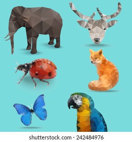 Animal Polygon