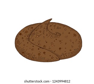 Animal poop. Stinking shit. Vector illustration. Clean up after the dog.