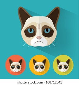 Animal Portrait with Flat Design / Grumpy Cat / Vector Illustration