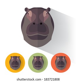Animal Portrait with Flat Design / Hippo / Vector Illustration