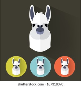 Animal Portrait with Flat Design / Llama / Vector Illustration