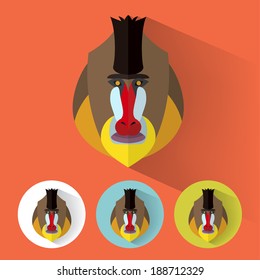 Animal Portrait with Flat Design / Mandrill / Vector Illustration