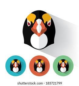 Animal Portrait with Flat Design / Penguin / Vector Illustration