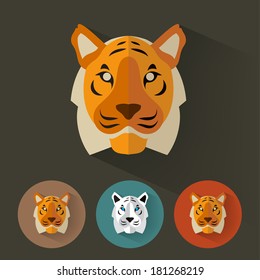 Animal Portrait with Flat Design / Tiger / Vector Illustration