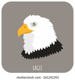 Animal Portrait With Flat Design Vector Illustration. Eagle