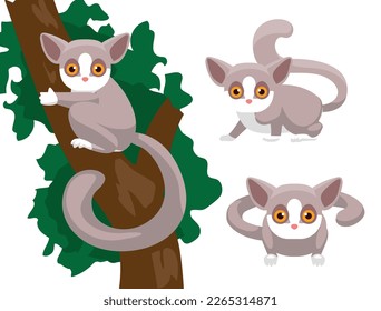 Animal Poses Bush Baby Cartoon Character Vector
