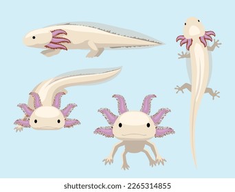 Tierposten Salamander Axolotl Cartoon Charaktere Vektorgrafik
