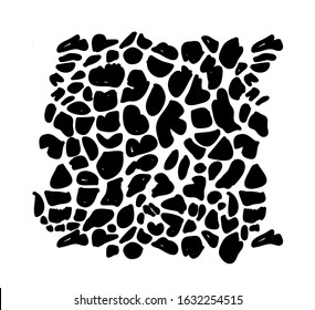 Animal print, background for your design. Vector illustration