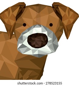animal print design over white background, vector illustration