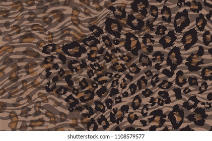 Animal print, leopard texture background