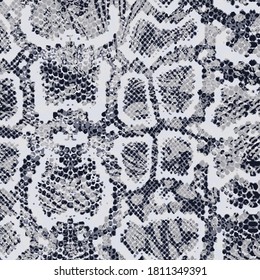 Animal print, leopard texture background