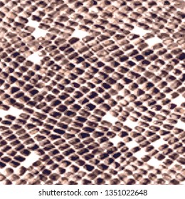 Animal print, Snake skin texture background