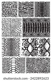 Animal print template. Vector art illustration.