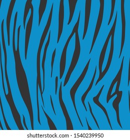 Animal print, zebra skin texture, animal wildlife background, tribal ornament, Vector illustration isolated on blue background.