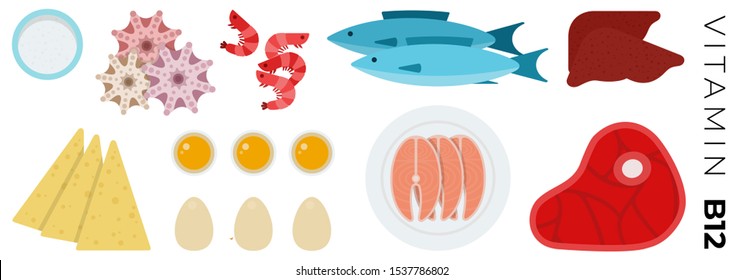 Animal Products with vitamins B12 vector flat icons set with tuna, egg, shrimp, liver, cheese and beef. Isolated on white background.