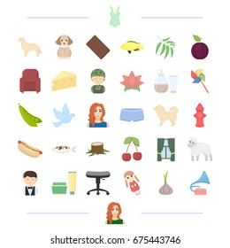 animal, profession, food and other web icon in cartoon style. appearance, cosmetics, clothing icons in set collection.