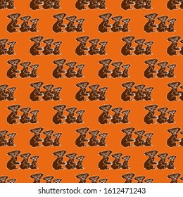 Animal Protection Day. 
Vector animal of Australia, koala. Isolated over white background. For coloring books, children's books, books about animals, stickers, magazines, design, factories, business