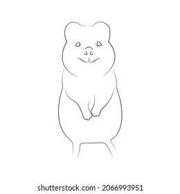 Animal Quokka. vector illustration. Preschool Zoo theme. Australian mammal Setonix brachyurus. He smiles happily.