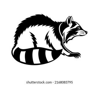 Animal raccoon icon isolated on white background.