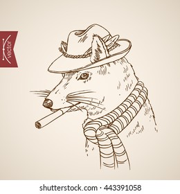 Animal rat mouse otter head hipster style human clothes accessory wearing hat scarf cigarette. Engraving style pen pencil crosshatch hatching paper painting retro vintage vector lineart illustration.