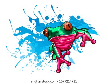 animal Red frog vector illustration