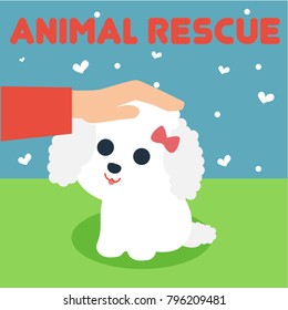Animal Rescue Illustration