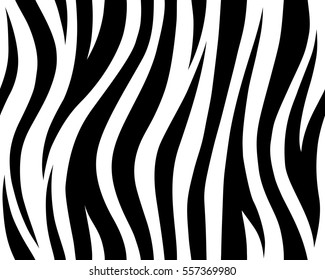 Animal safari abstract skin white and black seamless pattern repeated. Vector jungle strip. white tiger