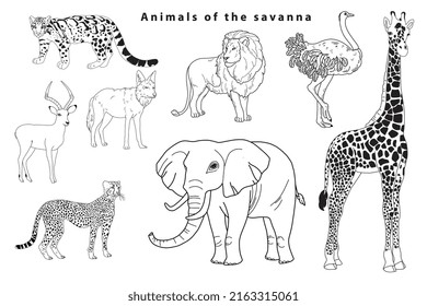 Animal savannahs in doodle style. Safari park.