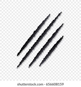 Animal scratches vector