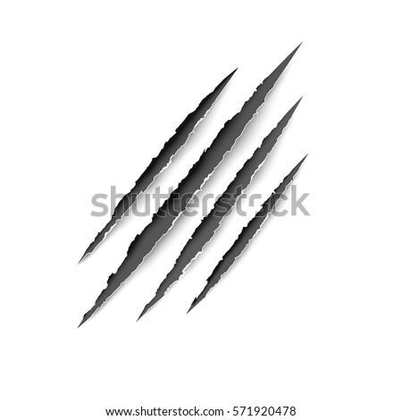 Animal scratches - vector. Claws scratching tiger (cat) vector illustration.  