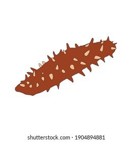 Animal Sea Cucumber Fill Line Icon Vector Illustration